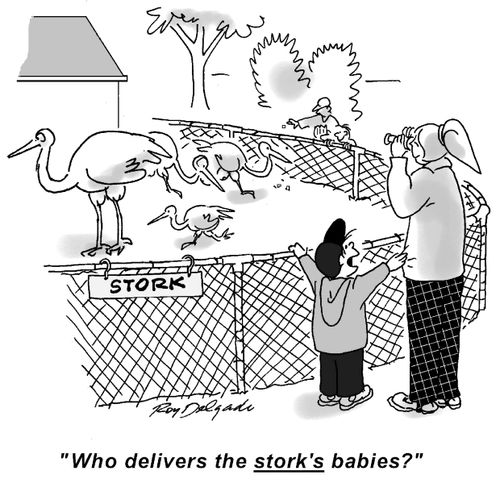 'Who delivers the stork's babies?'