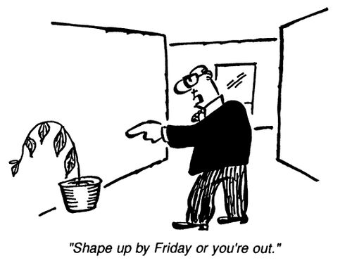 "Shape up by Friday or your out."
