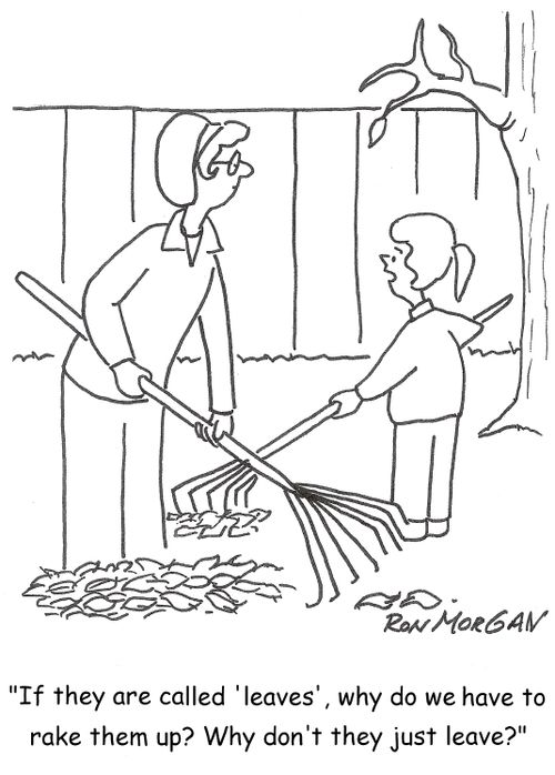 'If they are called 'leaves', why do we have to rake them up? Why don't they just leave?'
