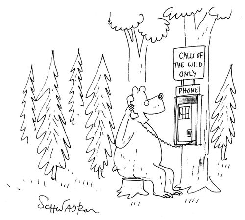 Calls of the Wild Only