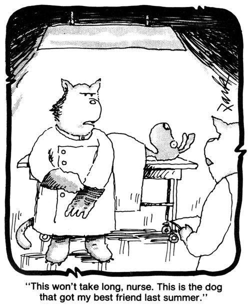 'This won't take long, nurse. This is the dog that got my best friend last summer.'