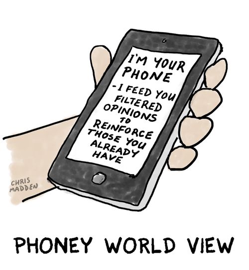 Phoney world view