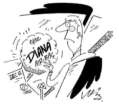The Diana Air-Bag