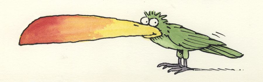 A parrot with huge bill