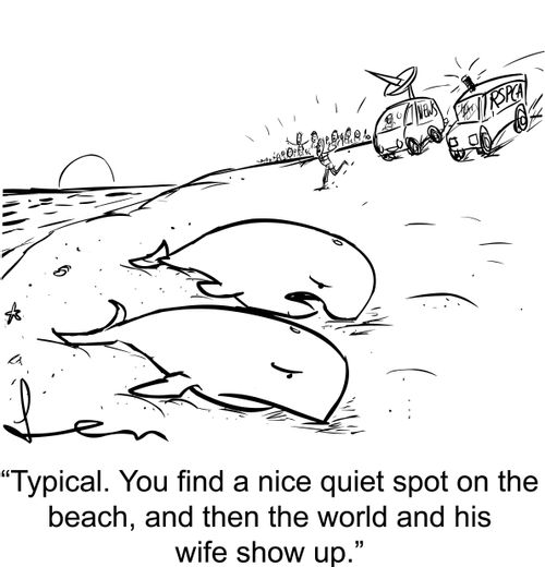 'Typical. You find a nice quiet spot on the beach, and then the world and his wife show up.'