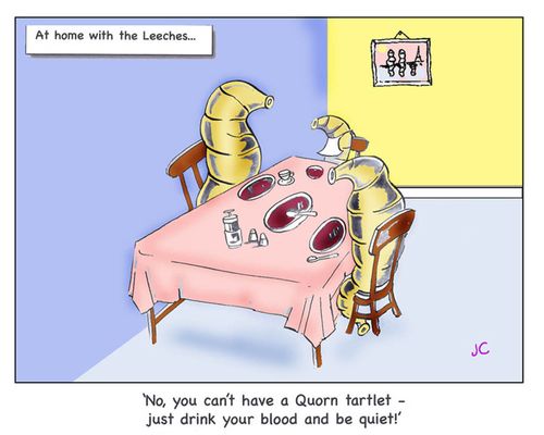 At home with the leeches: 'No, you can't have a Quorn tartlet - just drink your blood and be quiet!'