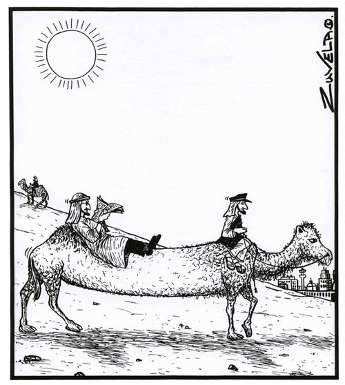 Stretch-Camel.