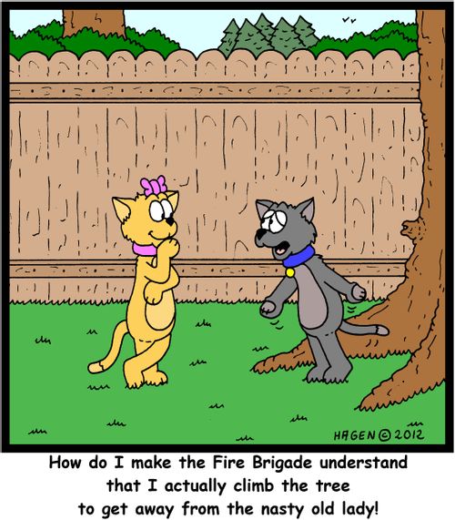 "How do I make the Fire Brigade understand that I actually climb the tree to get away from the nasty old lady!"