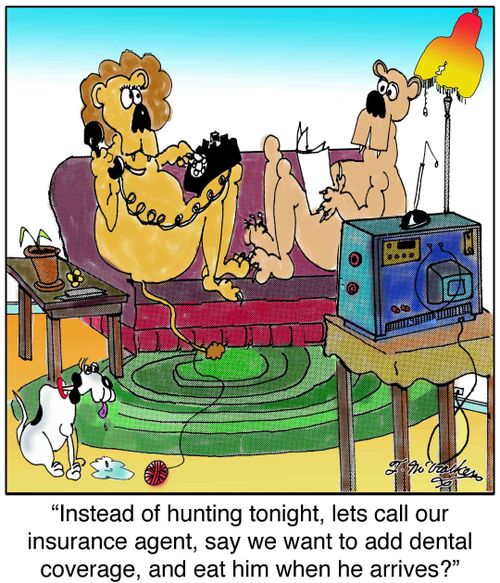 'Instead of hunting tonight, lets call our insurance agent, say we want to add dental coverage, and eat him when he arrives?'