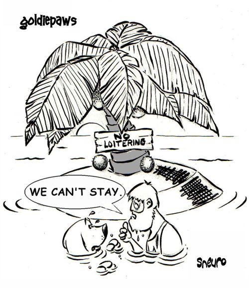 No loitering on a small deserted island.