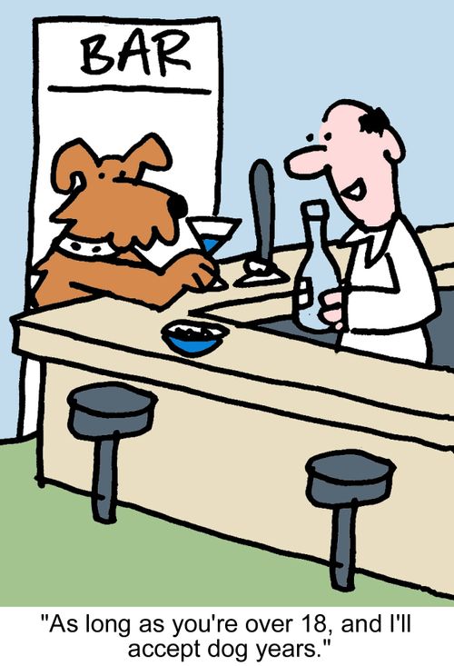 "As long as you're over 18, and I'll accept dog years."