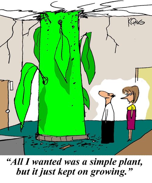 "All I wanted was a simple plant, but it just kept on growing."