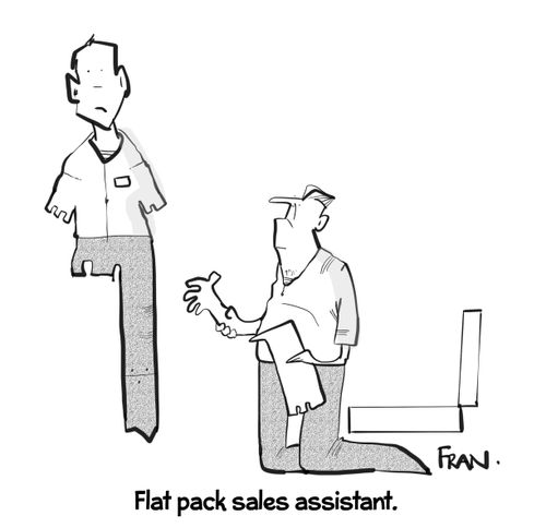 Flat pack sales assistant