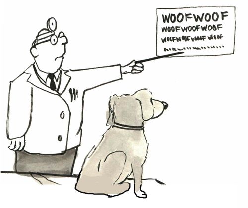 Seeing eye dog tests.