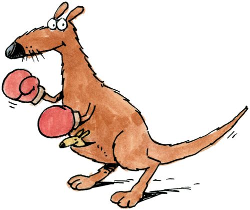 kangaroo with boxing gloves