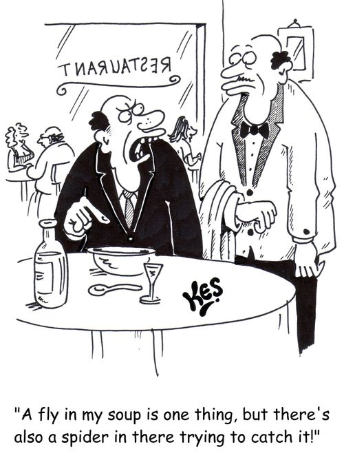 'A fly in my soup is one thing, but there's also a spider in there trying to catch it!'