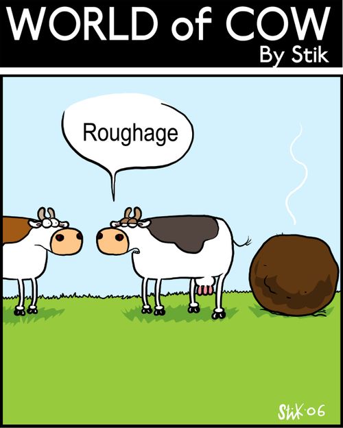 Roughage.