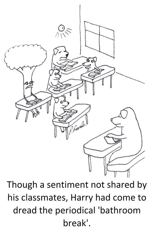 Though a sentiment not shared by his classmates, Harry had come to dread the periodical 'bathroom break'.