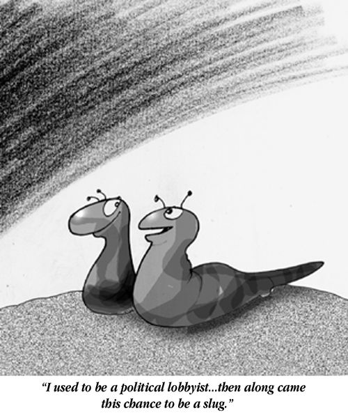 "I used to be a political lobbyist, then along came this chance to be a slug."