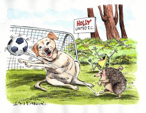 Dog and hedgehog playing football.