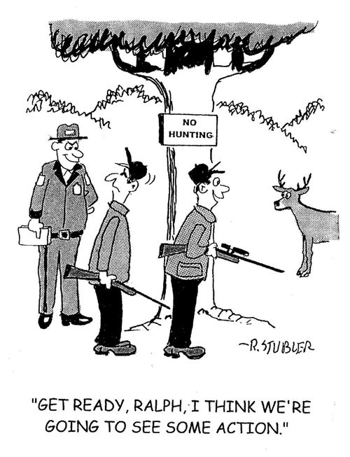 'Get ready, Ralph, I think we're going to see some action.'