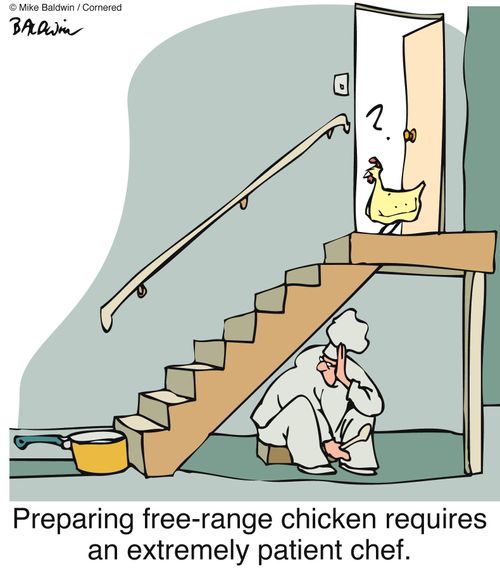 'Preparing free-range chicken requires an extremely patient chef.'