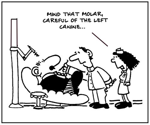 'Mind that molar, careful of that canine...'