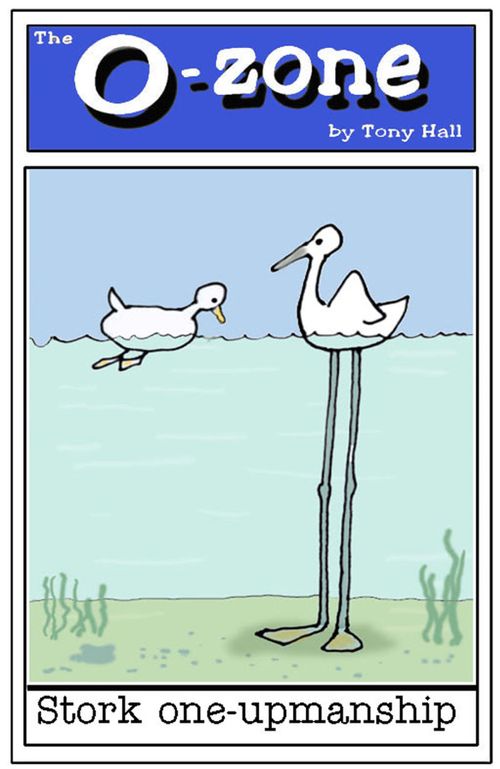 Stork one-upmanship