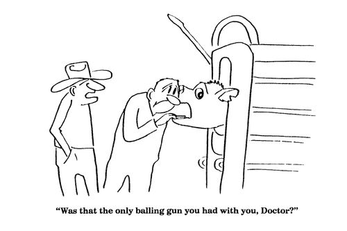 'Was that the only balling gun you had with you, Doctor?'
