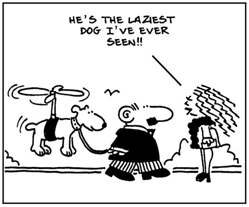'He's the laziest dog I've ever seen.'