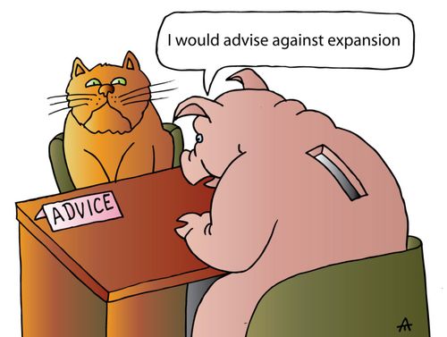 'I would advise against expansion.'