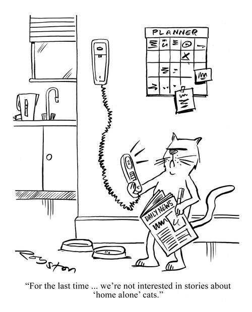 Cat on phone to newspaper, voice says: 'For the last time ... we're not interested in stories about 'home alone' cats.'