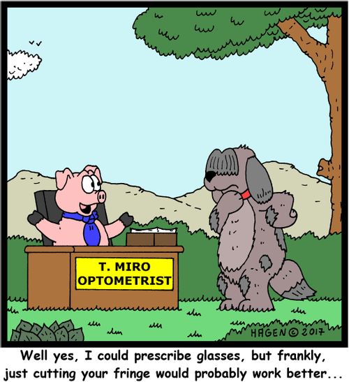"Well yes, I could prescribe glasses, but frankly, just cutting your fringe would probably work better..."
