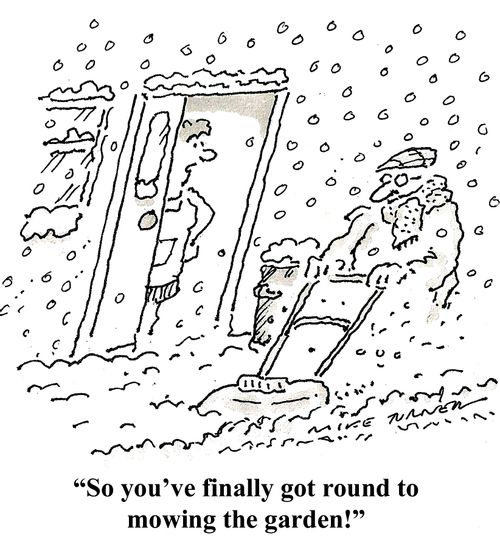 'So you've finally got round to mowing the garden.'