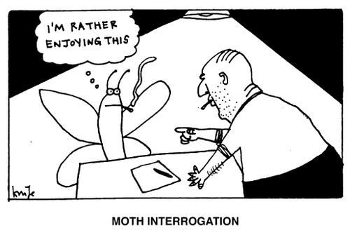 "I'm rather enjoying this." - Moth interrogation under spot light