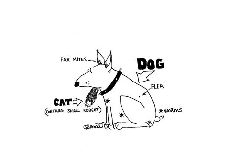 Dog diagram