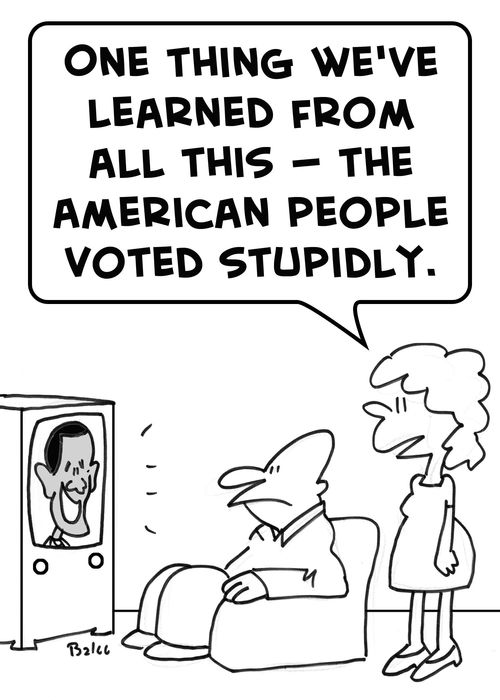'One thing we've learned from all this -- the American people voted stupidly.'