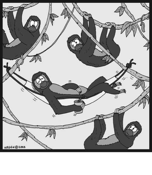Ultra-lazy sloth