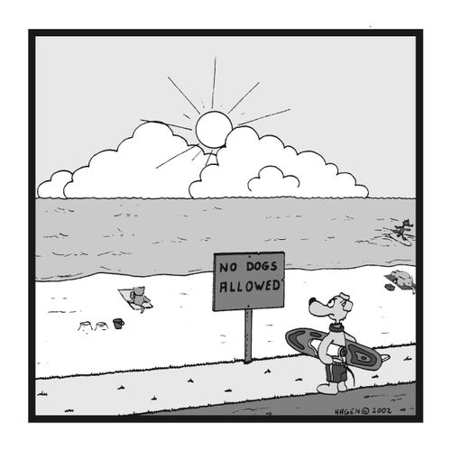 Dog unable to surf ('No dogs allowed').