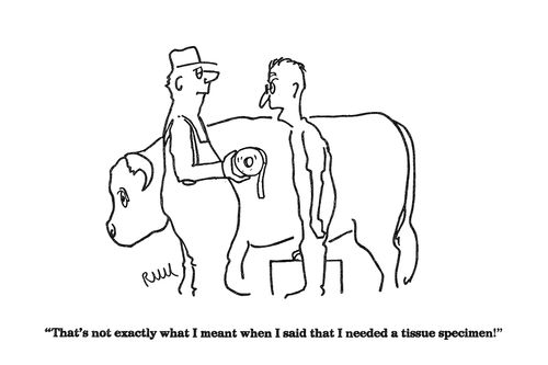 'That's not exactly what I meant when I said that I needed a tissue specimen!'