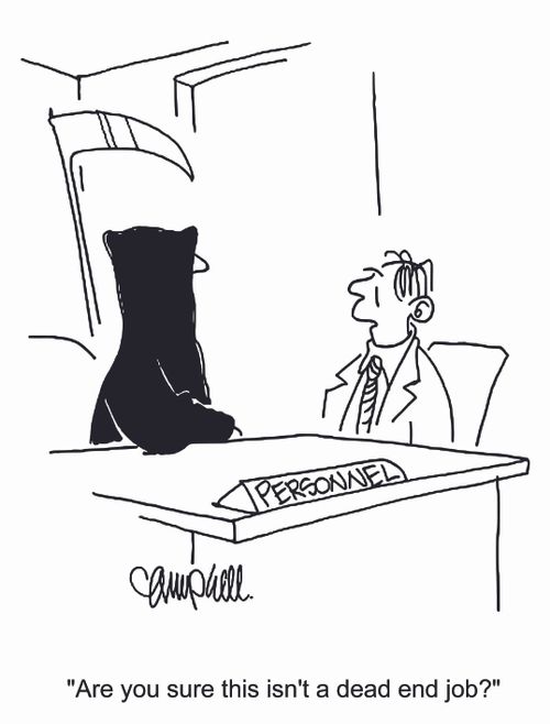 'Are you sure this isn't a dead end job?'