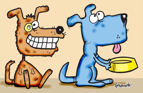 Pooch dinner.