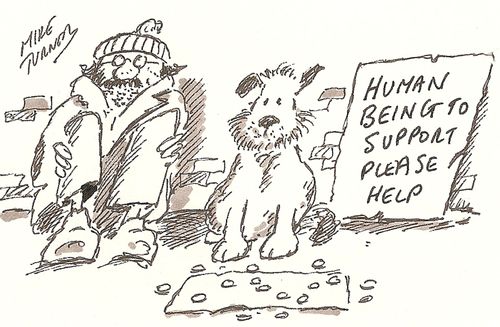 Human Being to Support Please Help