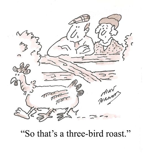 "So that's a three bird roast."