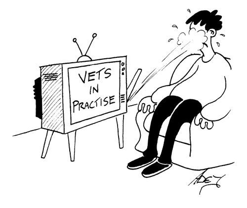 Vets in practise