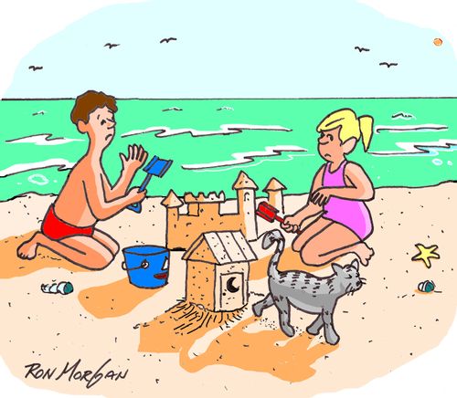 Cat builds outhouse on beach near kids.