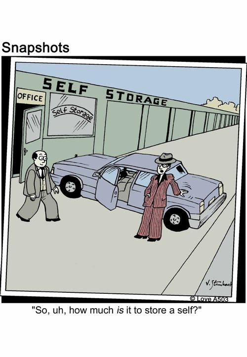 'So, uh, how much is it to store a self?'