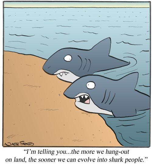 "I'm telling you...the more we hang-out on land, the sooner we can evolve into shark people."