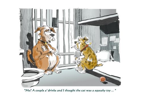 "Me? A couple a' drinks and I thought the cat was a squeaky toy..."