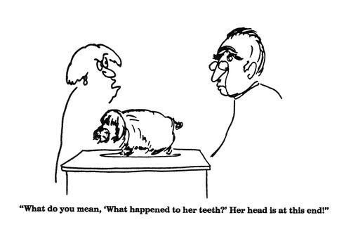 'What do you mean, 'What happened to her teeth?'Her head is at this end!"